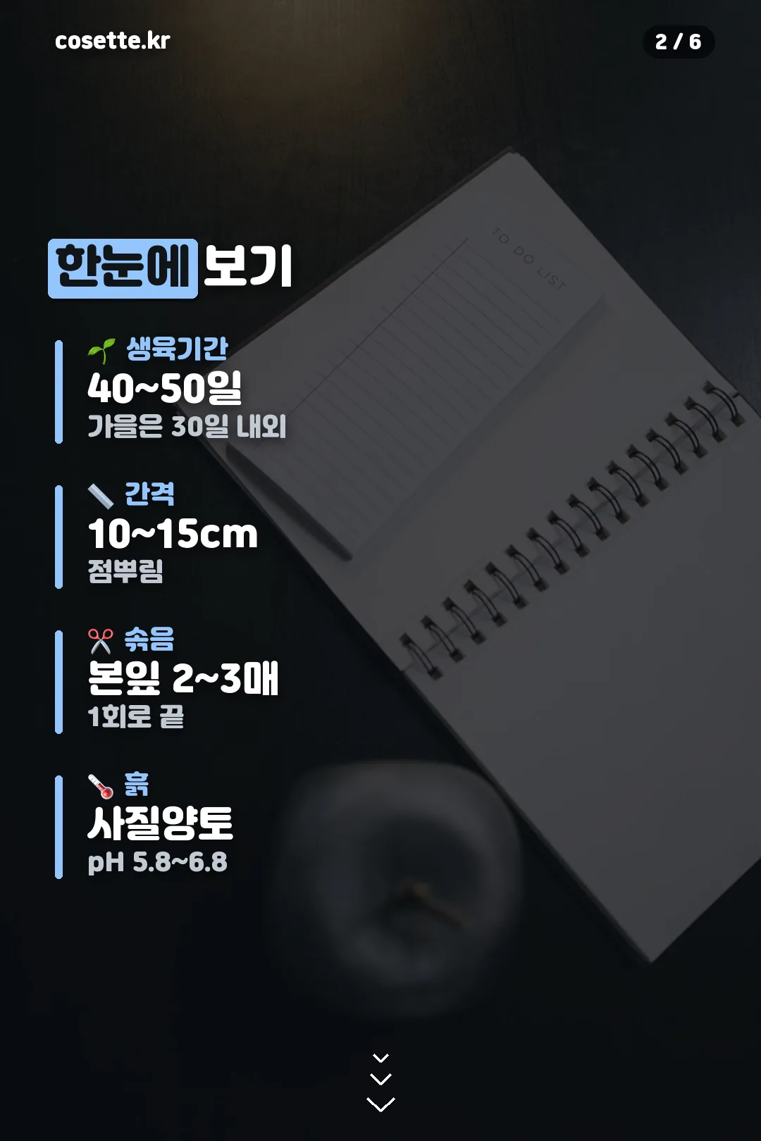 파종 요약 한눈에 보기