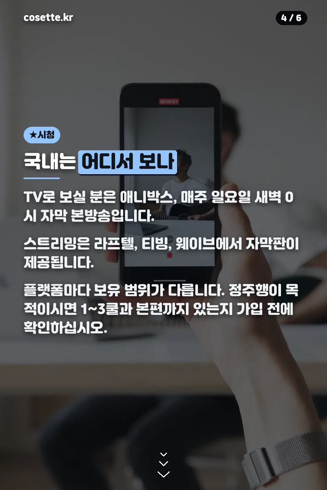 국내 시청 경로