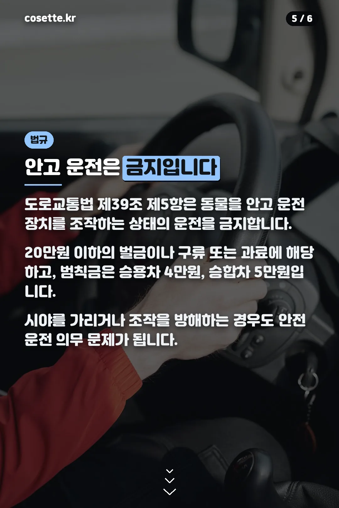 안고 운전 금지 법규