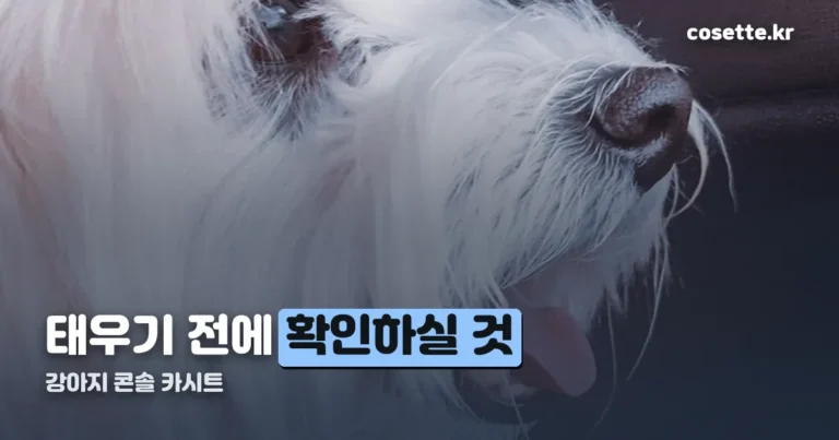 강아지 콘솔 카시트 — 편한 자리지만 법정 안전기준은 없습니다