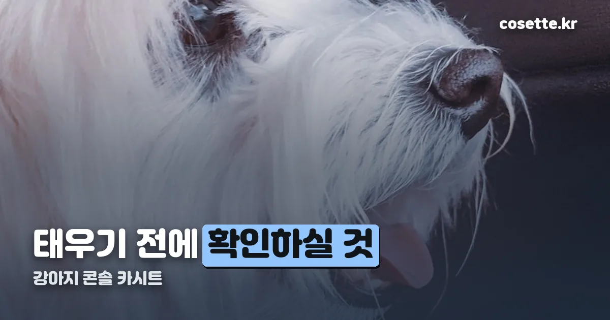 강아지 콘솔 카시트 정리 썸네일