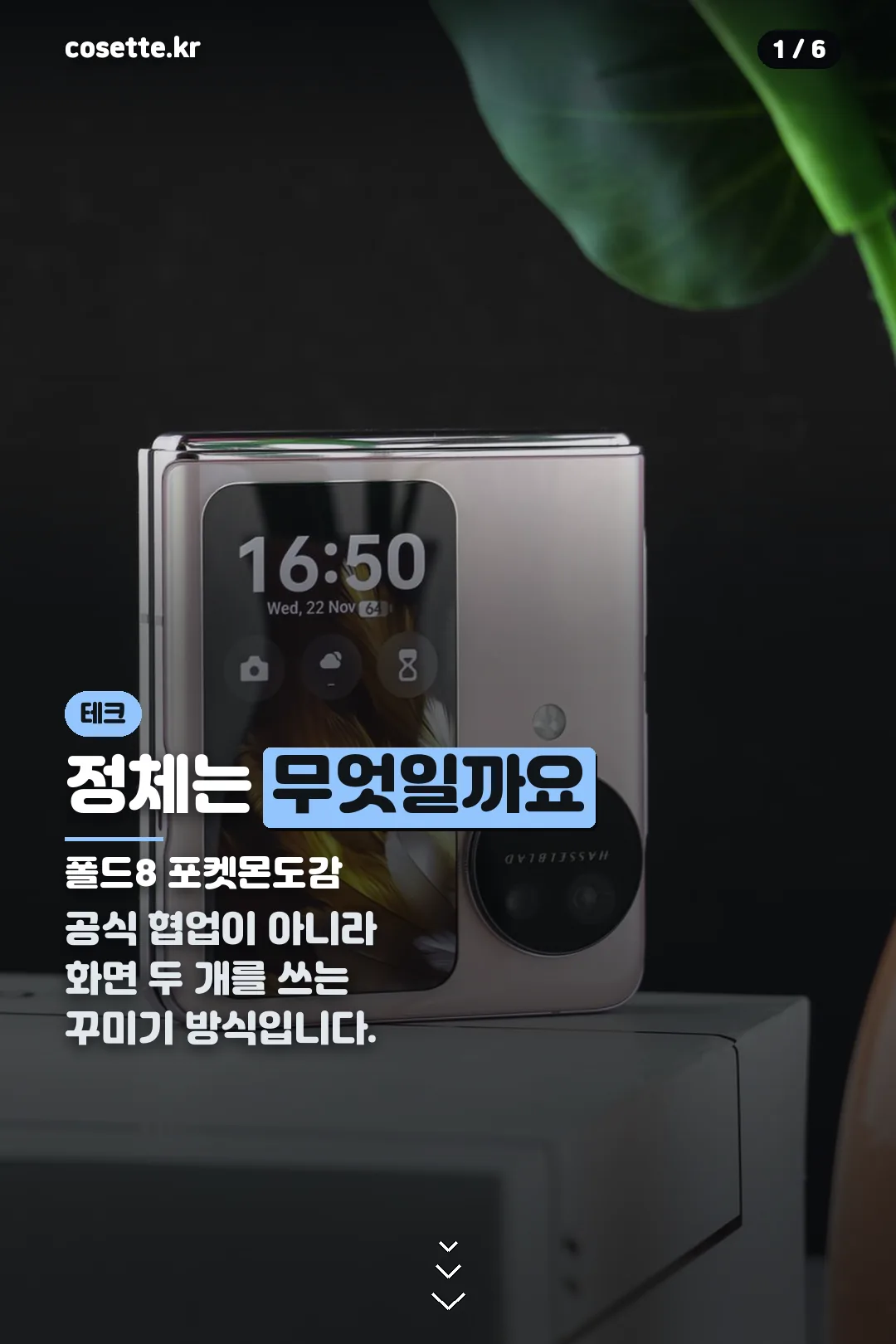 폴드8 포켓몬도감 표지