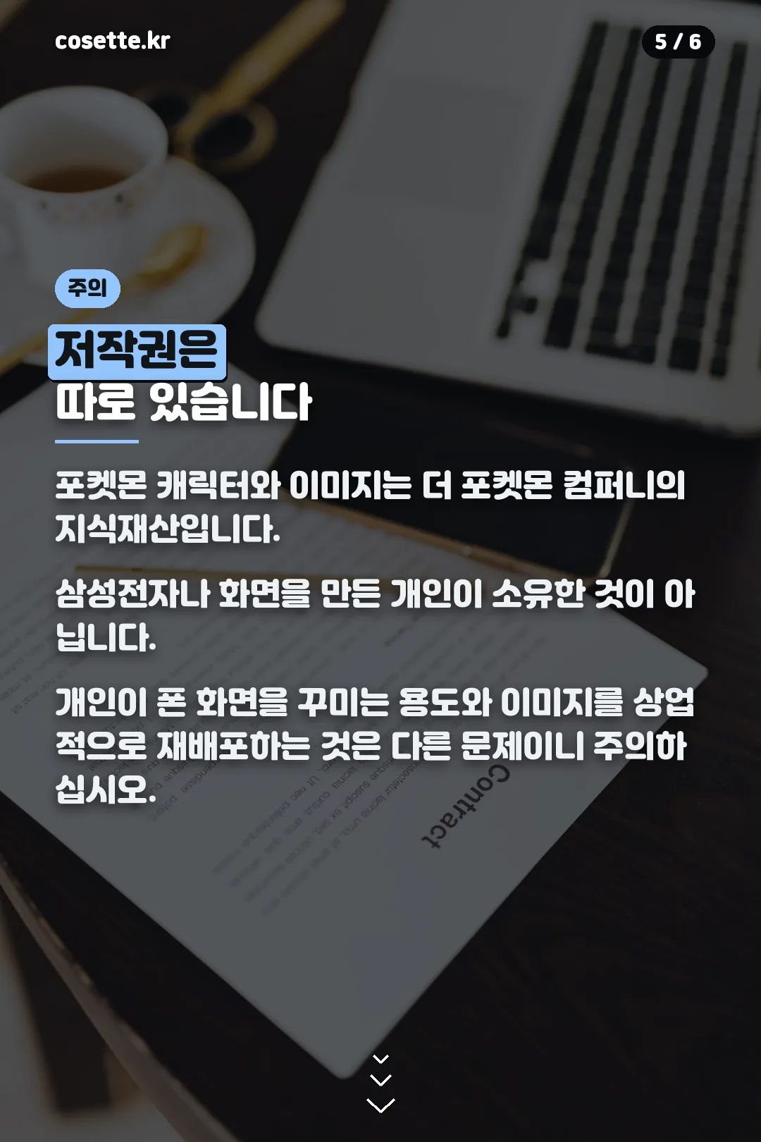 저작권 주의