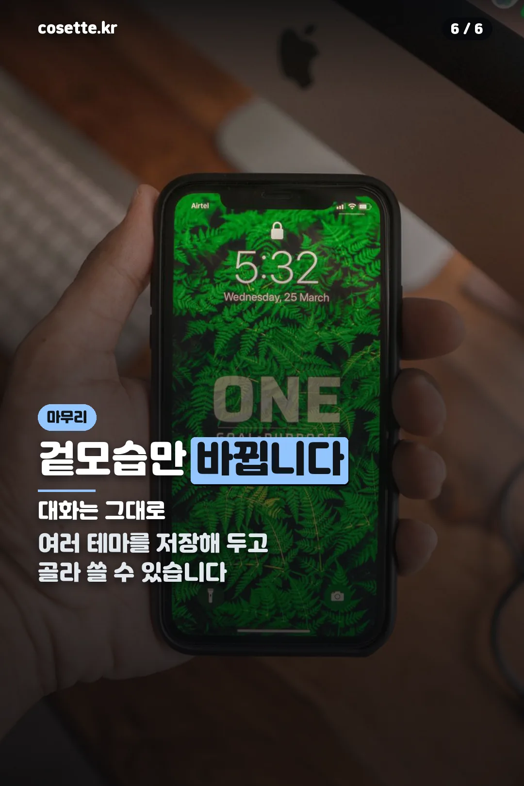 테마 변경 안내