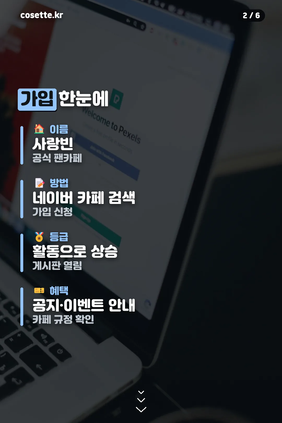 가입 정보 요약