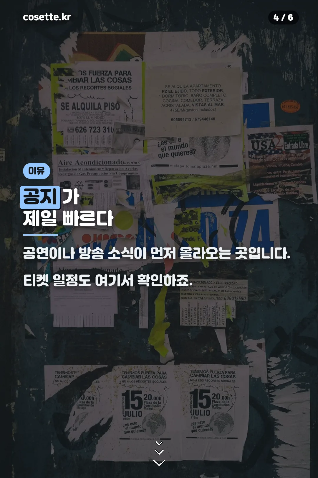 공지 확인