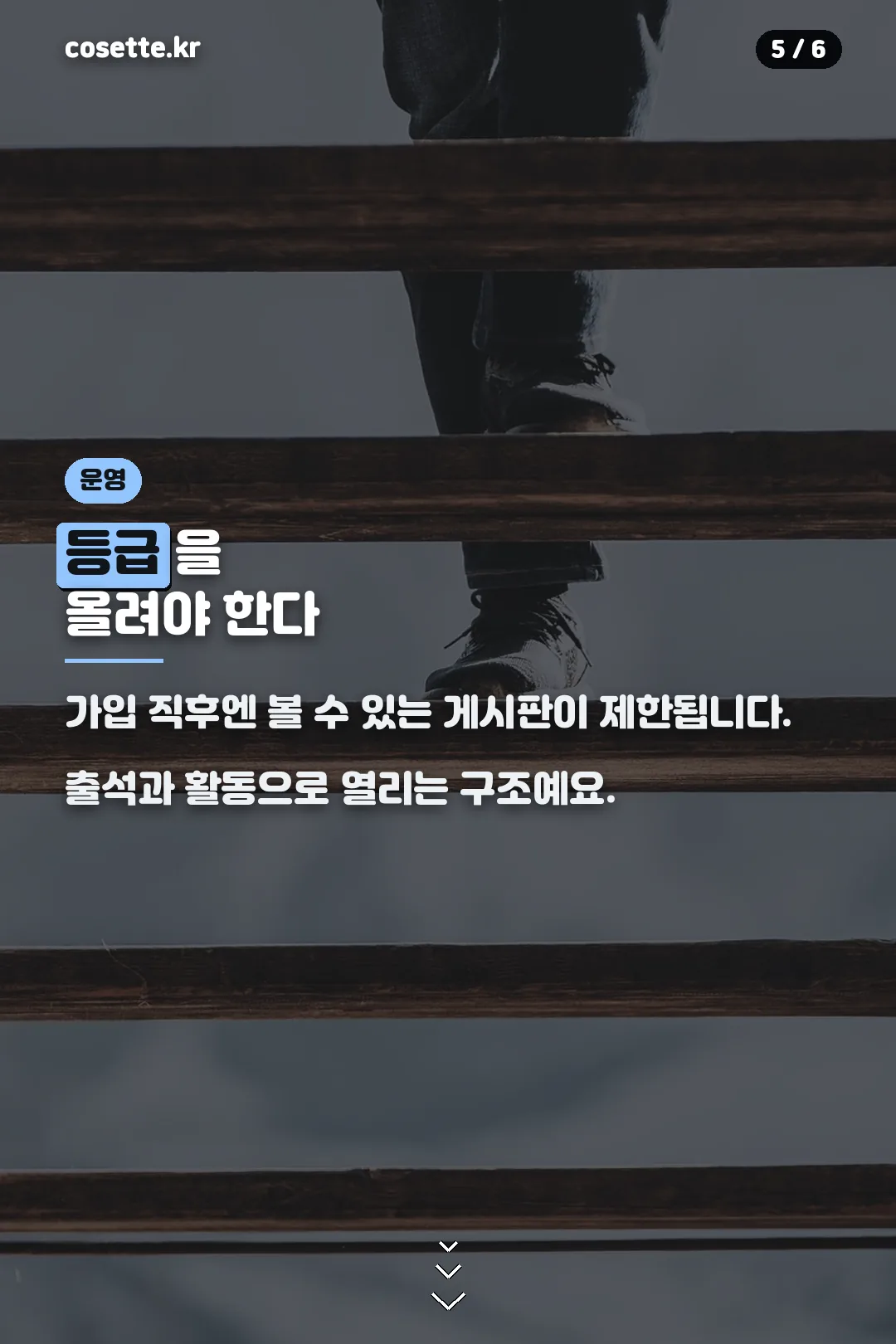 등급 제도