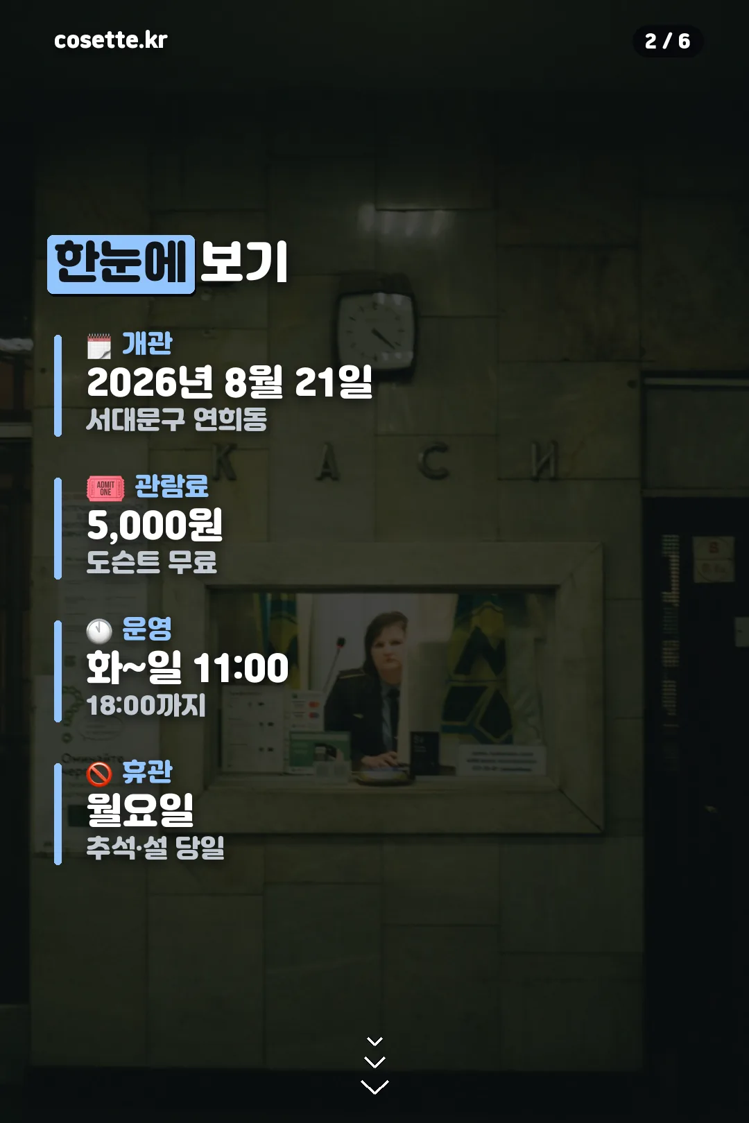 관람 정보 요약