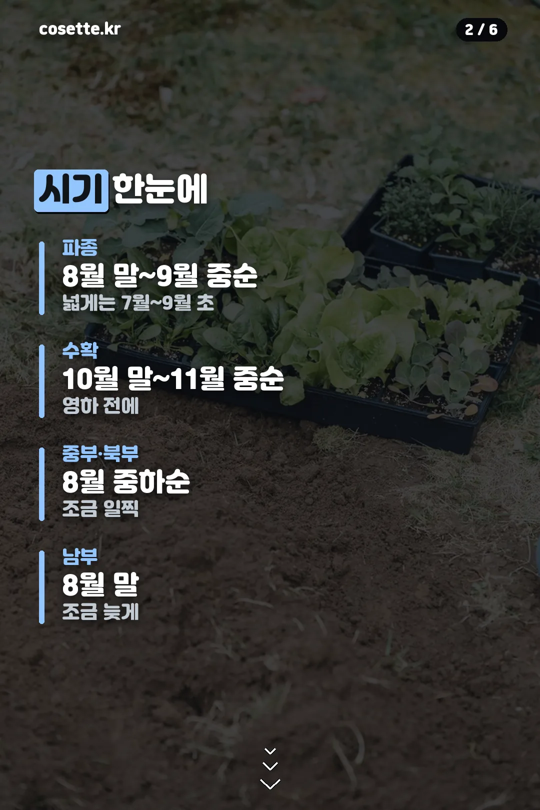 시기 정리