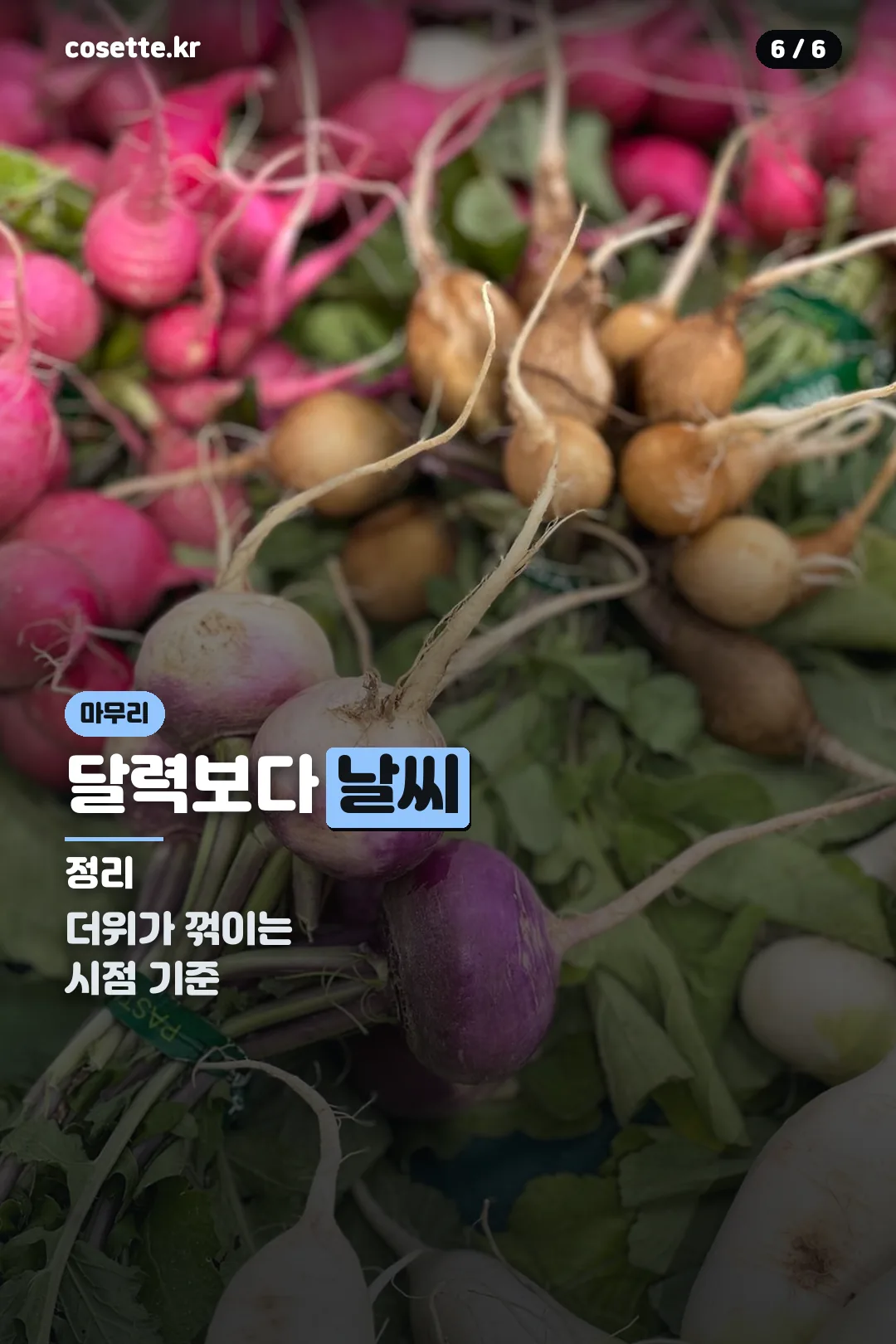 마무리
