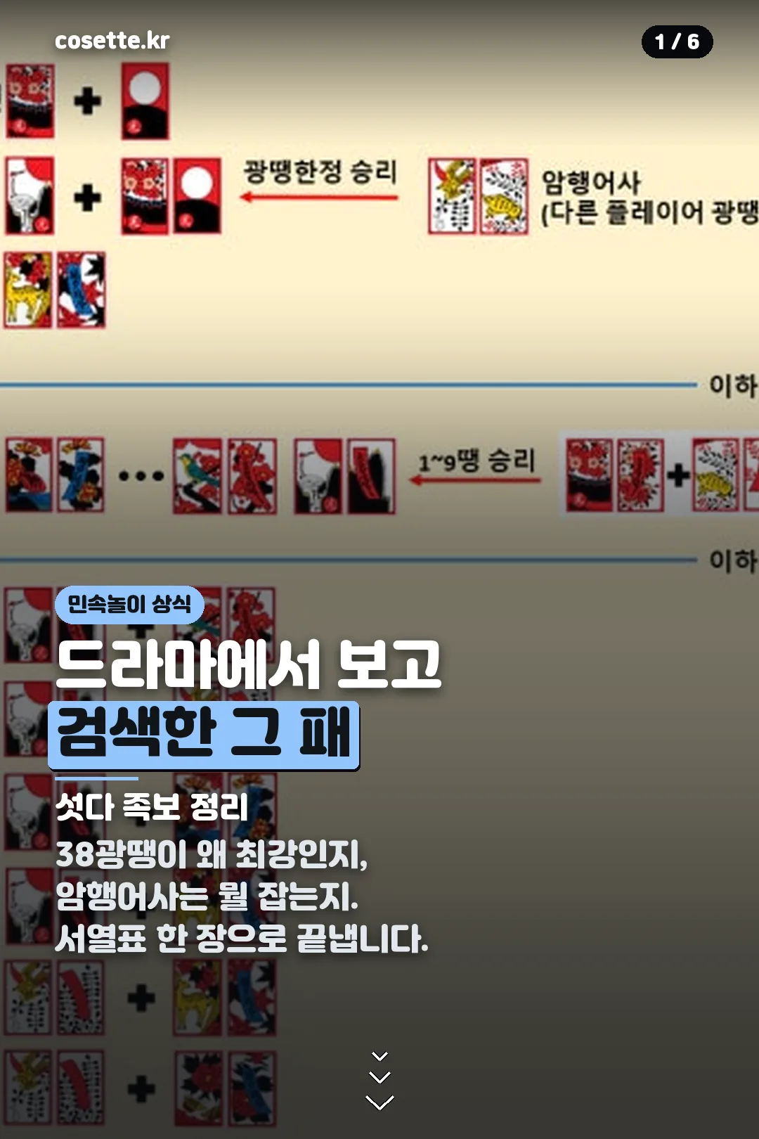 섯다 족보 표지 카드