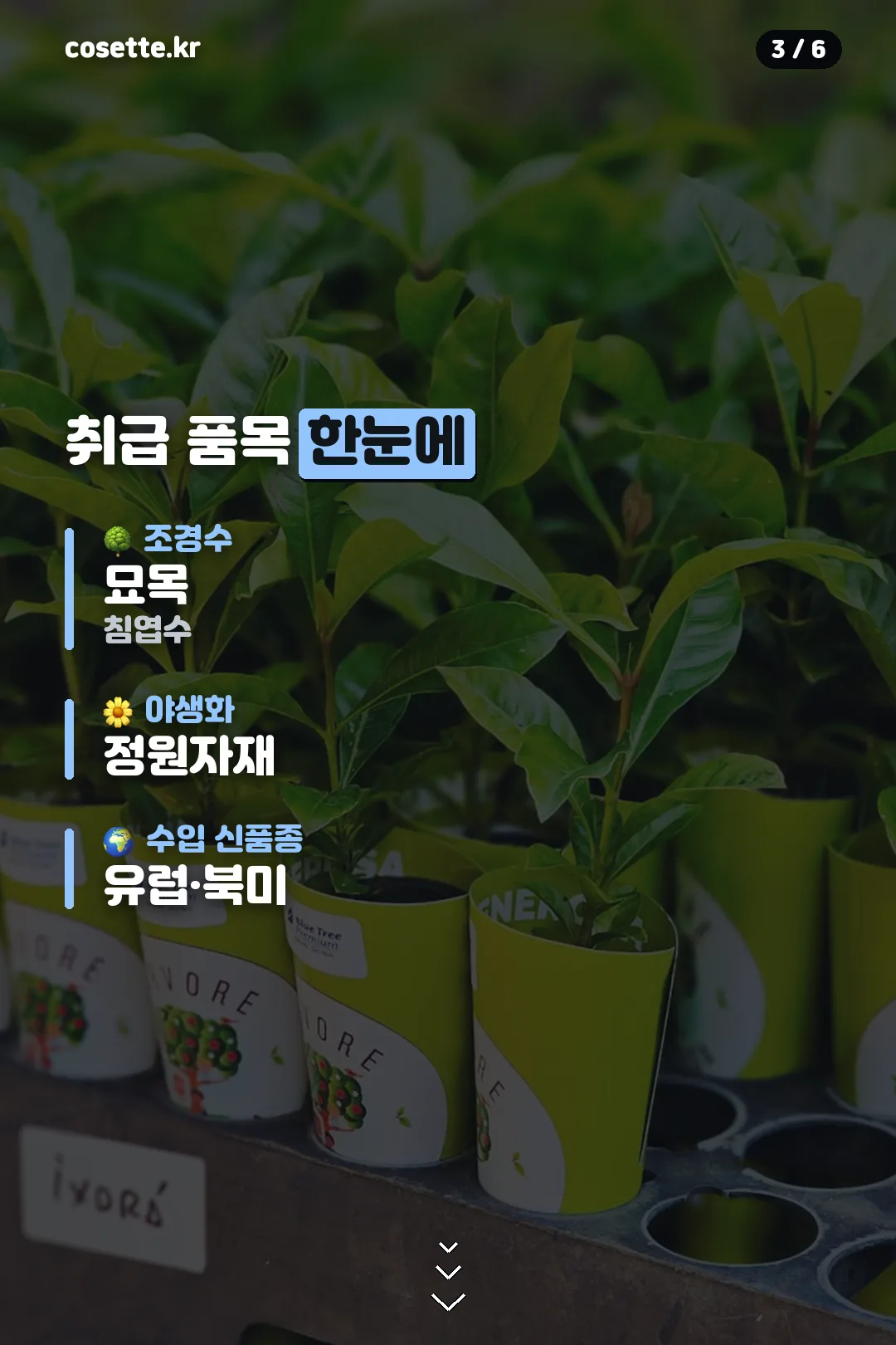 취급 품목 한눈에