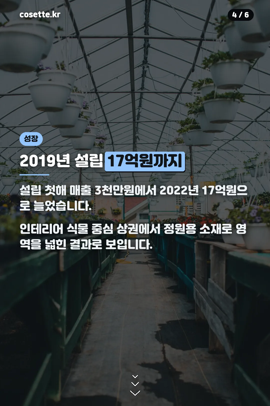 설립부터 성장까지