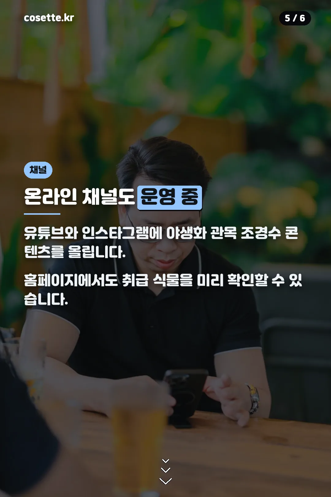 온라인 채널 안내