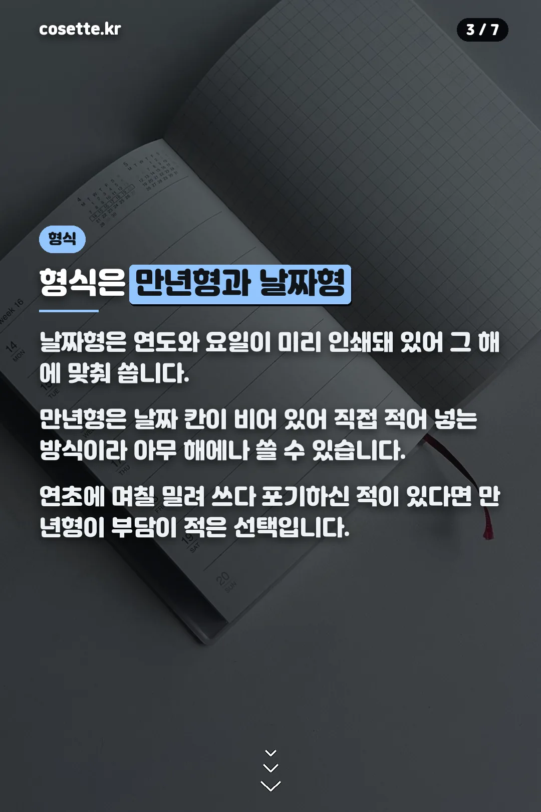 만년형과 날짜형
