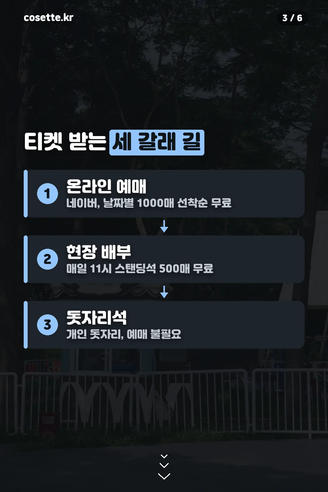 티켓 받는 세 갈래 길