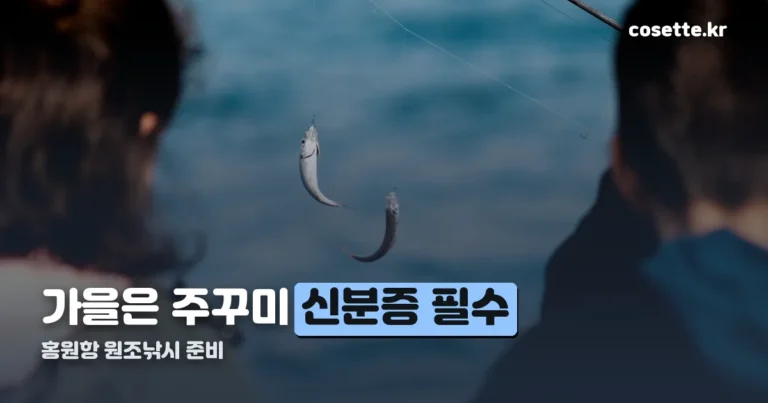 홍원항 원조낚시 가기 전 정리 — 시즌 어종과 안전 수칙까지