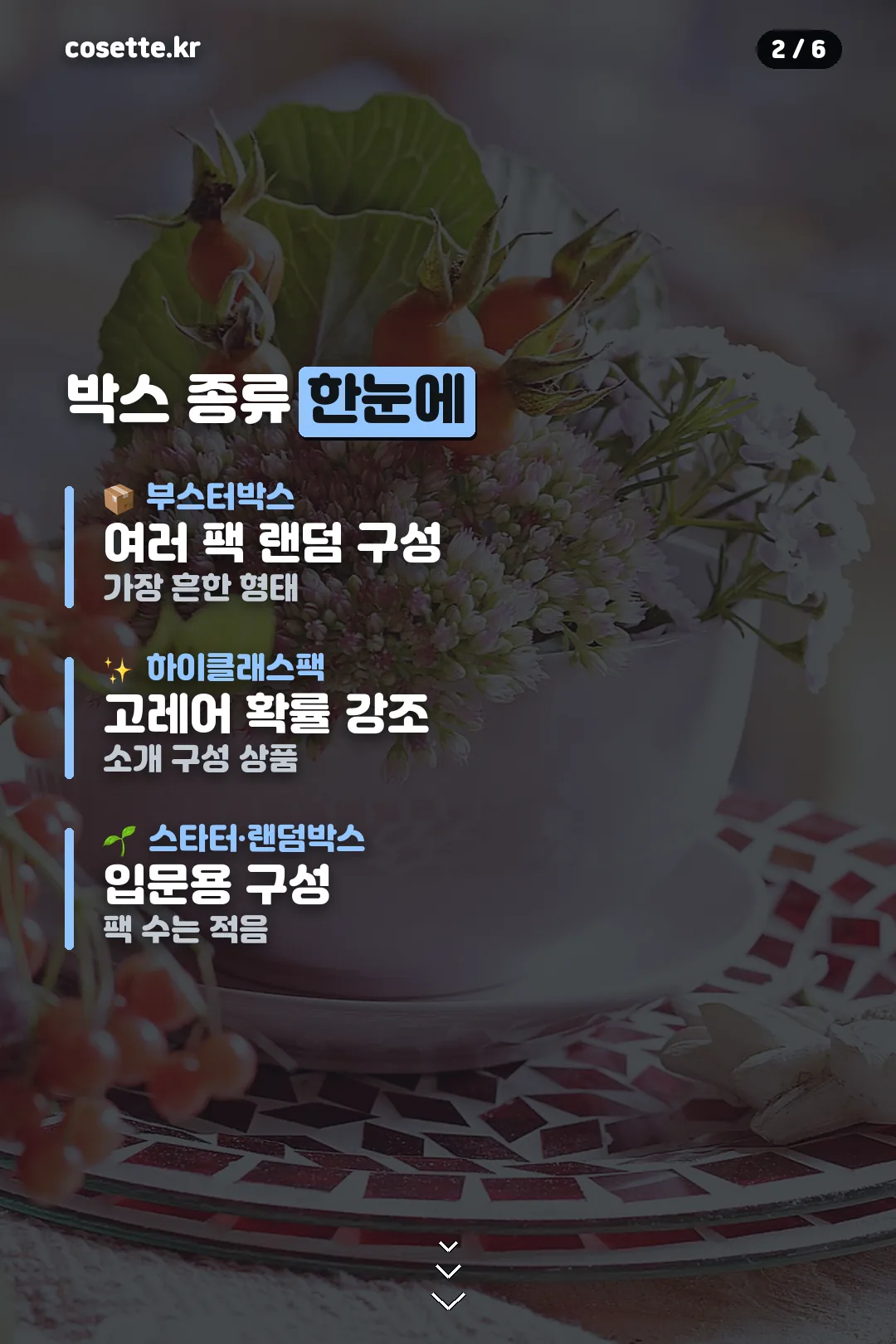 박스 종류 한눈에 보기