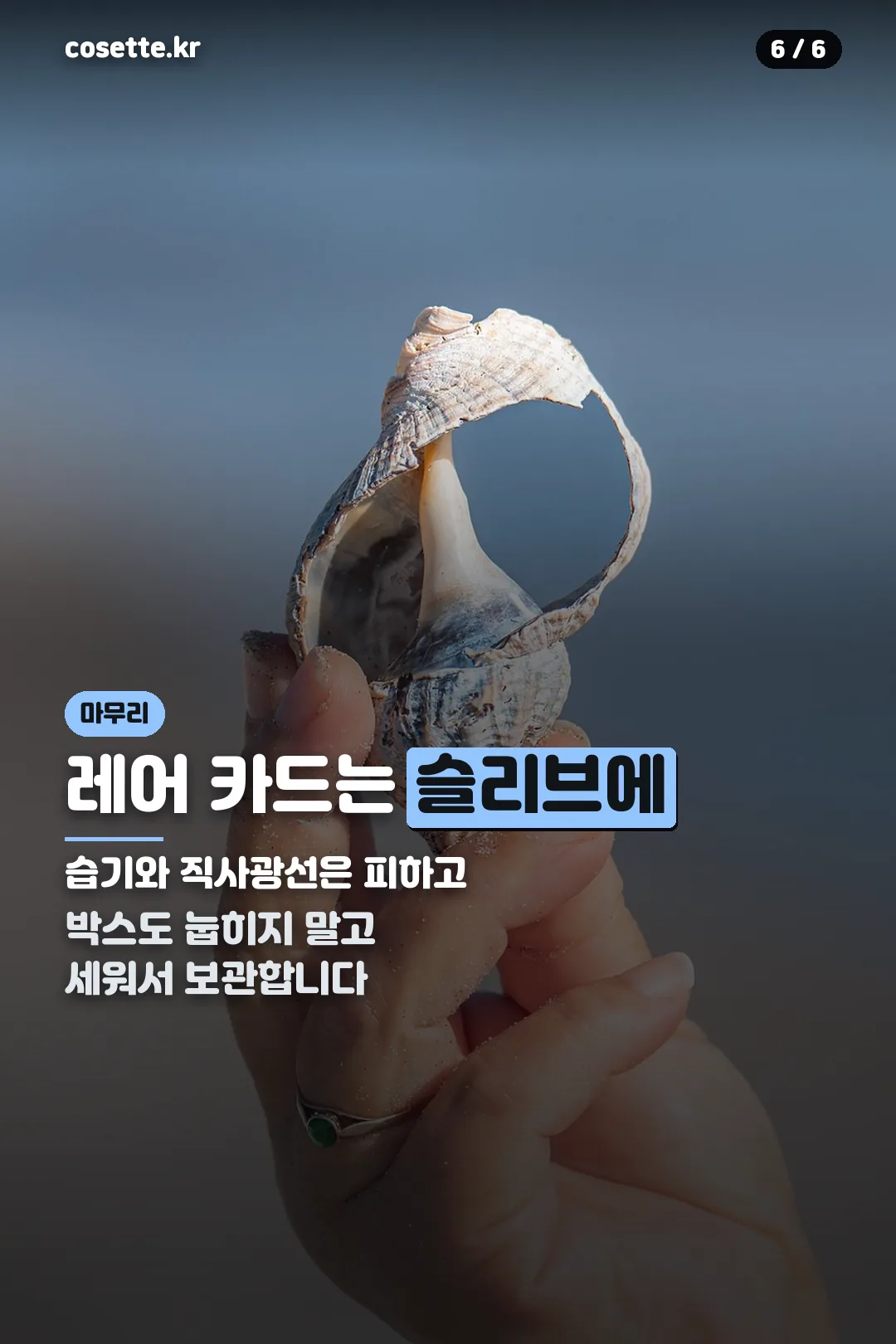 카드 보관 마무리