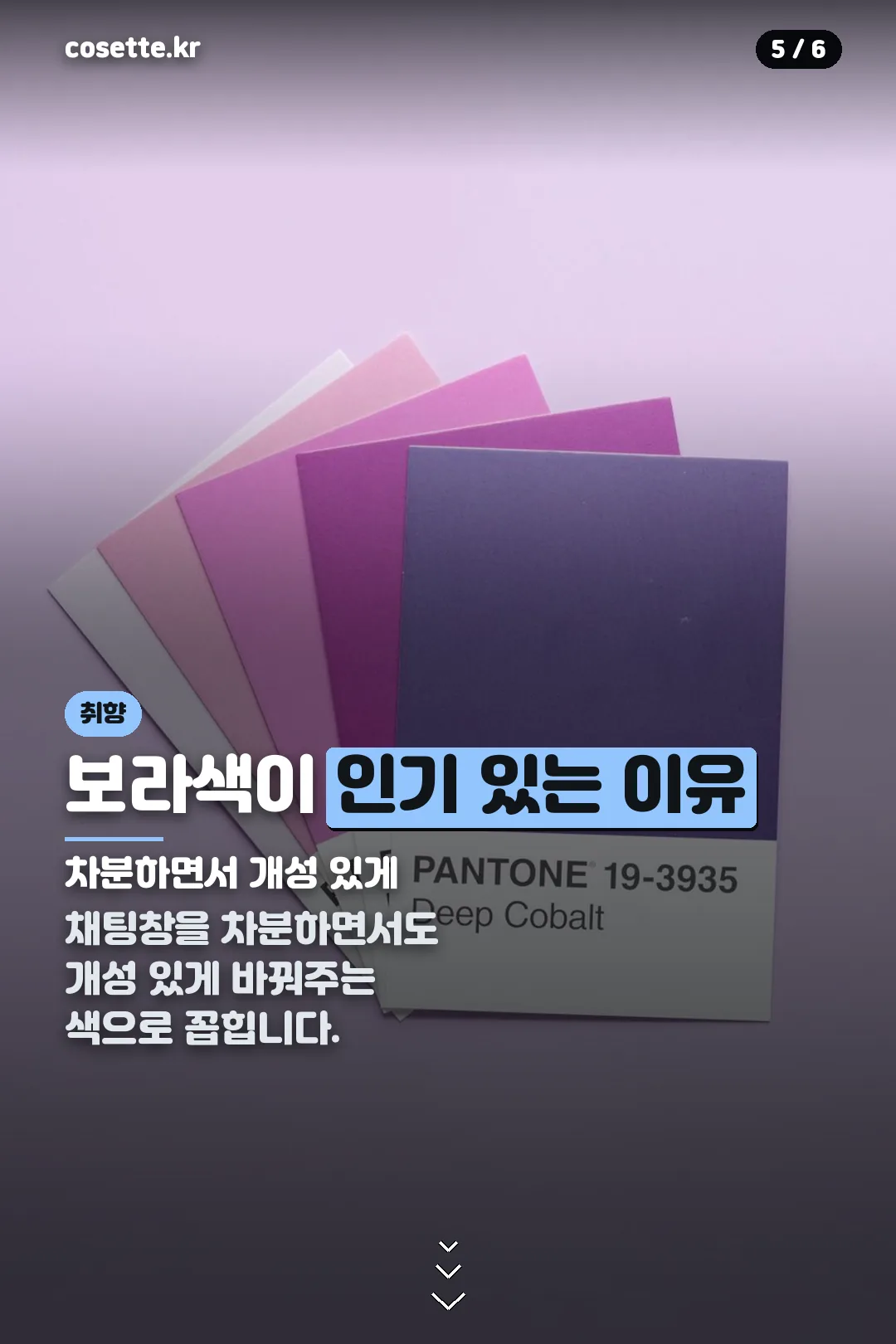 보라색 인기 이유