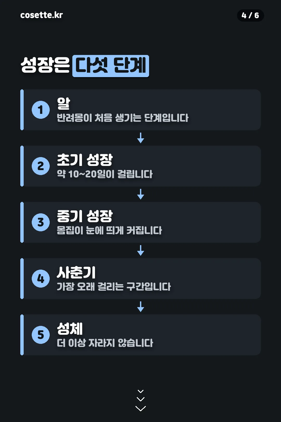 성장 다섯 단계