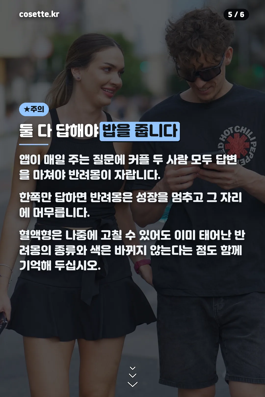 매일 답변해야 자란다