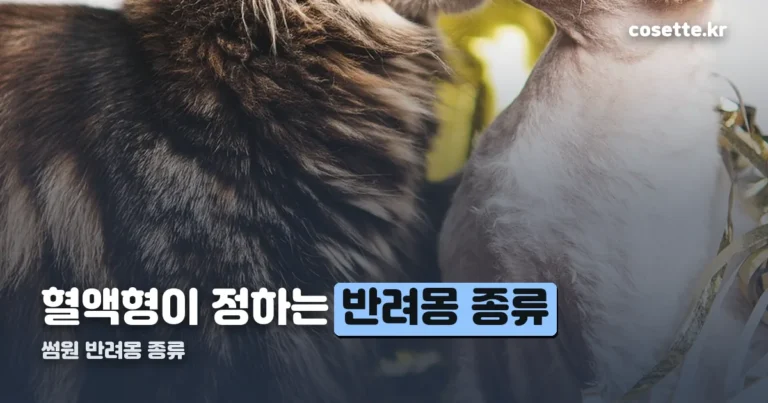 썸원 반려몽 종류 — 혈액형 조합이 강아지·판다·펭귄·고양이를 가릅니다