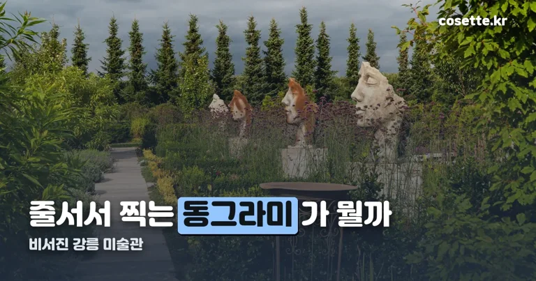비서진 강릉 미술관 정리 썸네일