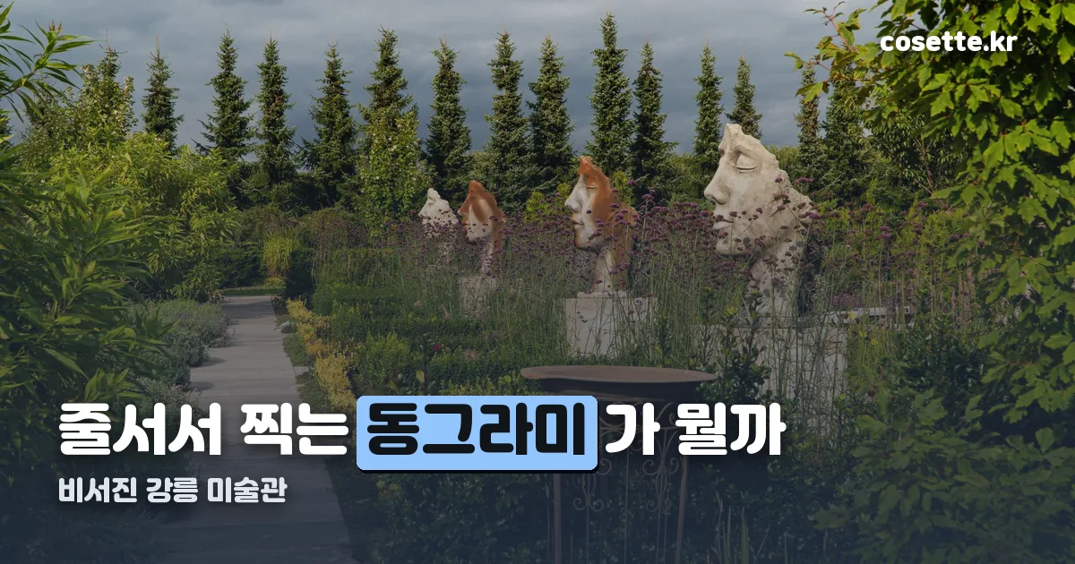 비서진 강릉 미술관 정리 썸네일